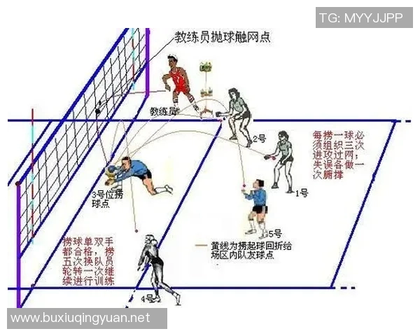 从零基础到排球高手的全面提升指南与实用技巧分享 从零基础到排球高手的全面提升指南与实用技巧分享