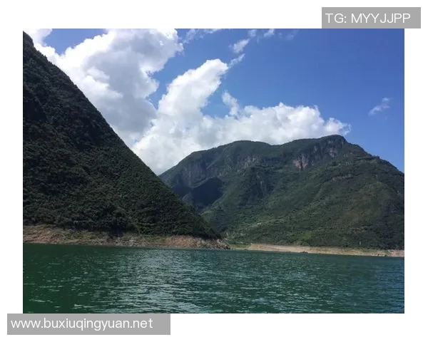 深度探讨刘强在王者荣耀中的游戏人生与成长历程 深度探讨刘强在王者荣耀中的游戏人生与成长历程