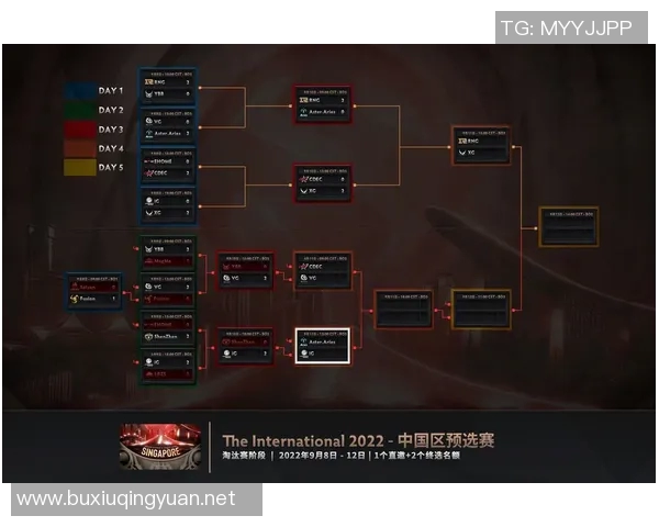 国际邀请赛中IG战队意识表现分析与点评 国际邀请赛中IG战队意识表现分析与点评